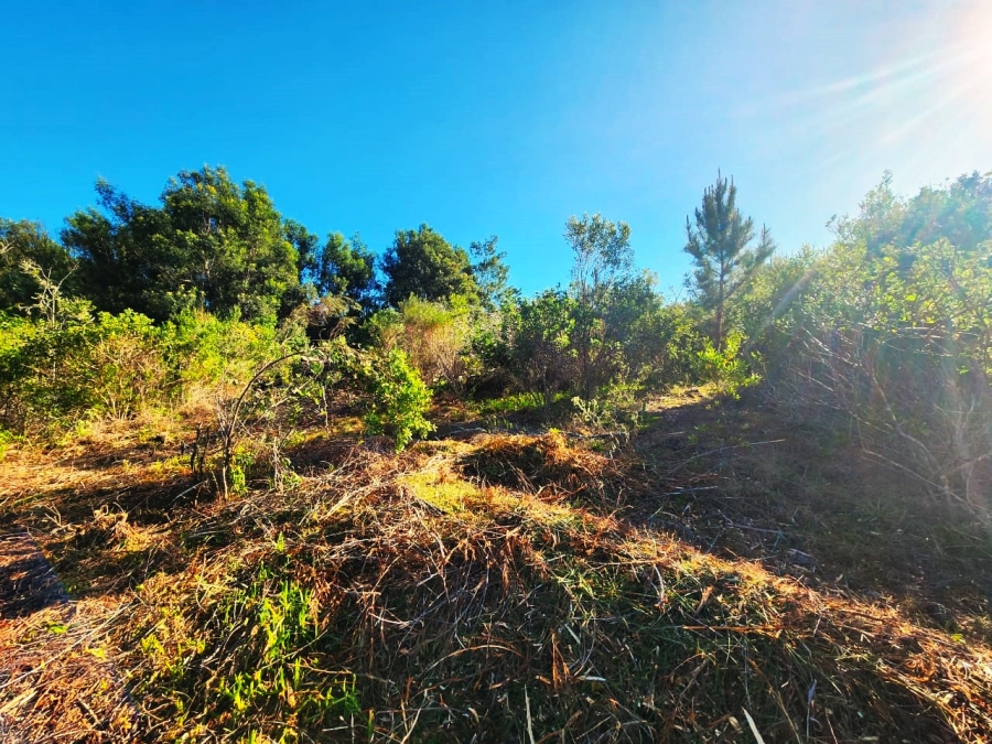 Commercial Property for Sale in Langvlei Dunes Western Cape